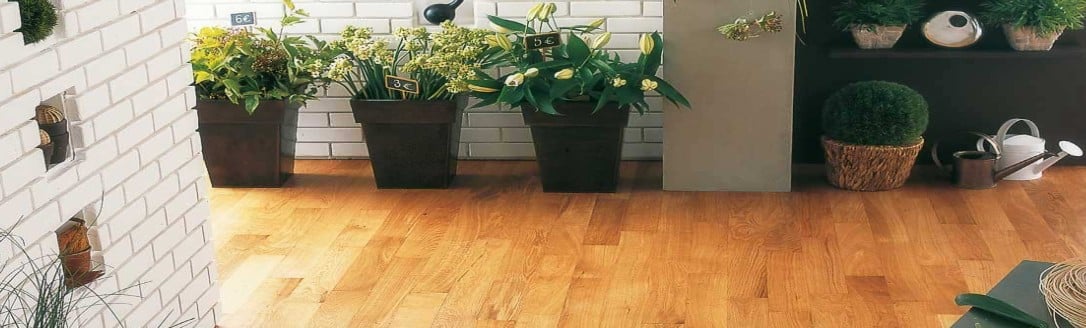 plantes-parquet