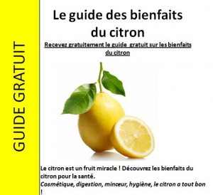 ebook-citron