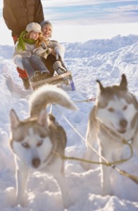 balade-chiens-de-traineaux