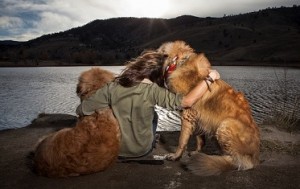 Choisir un chien à son image : la condition sine qua none avant toute adoption. Source : gettyimages