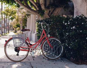 Vélo rouge posé contre une haie fleurie en ville