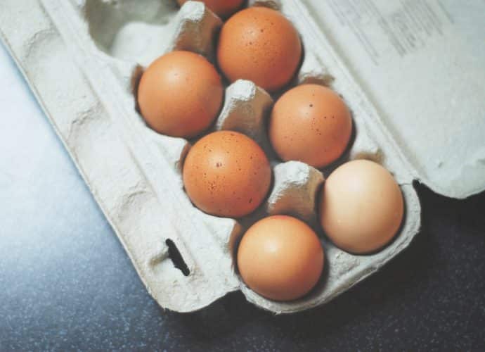 Boite d'oeufs en carton